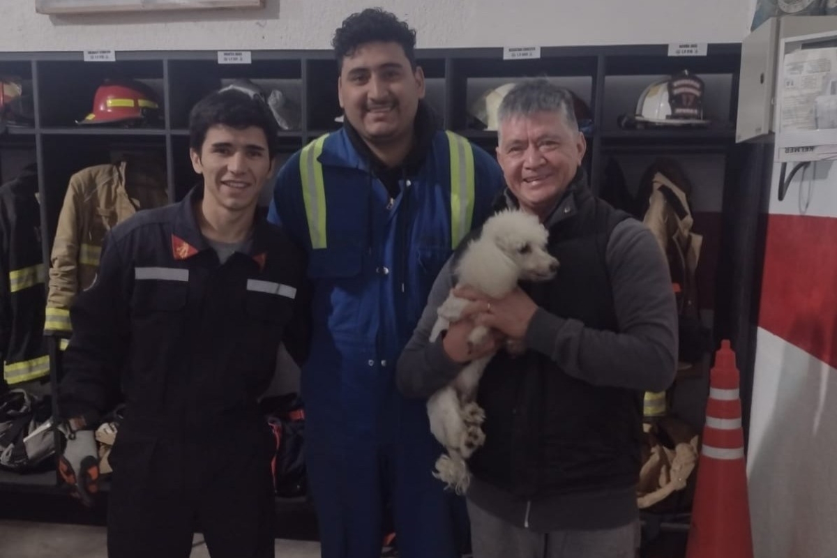 Bomberos le salvaron la vida a una mascota