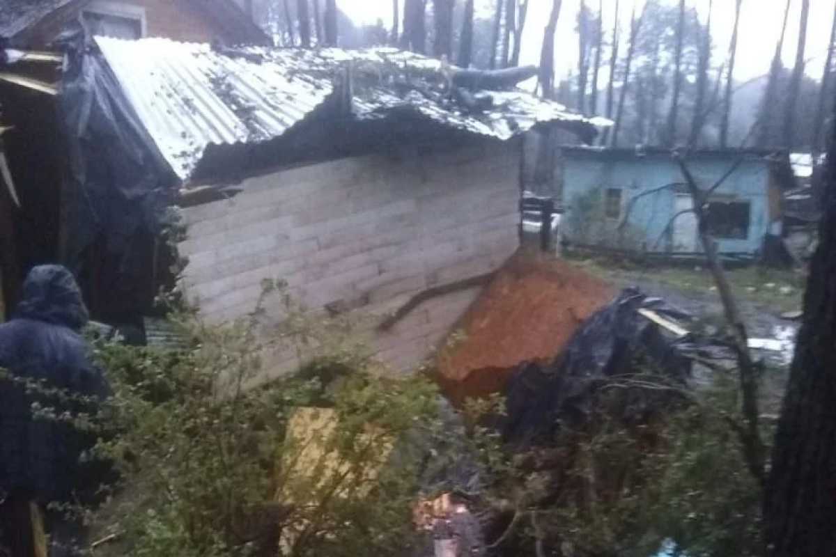 Un árbol cayó sobre su alquiler y quedaron en la calle