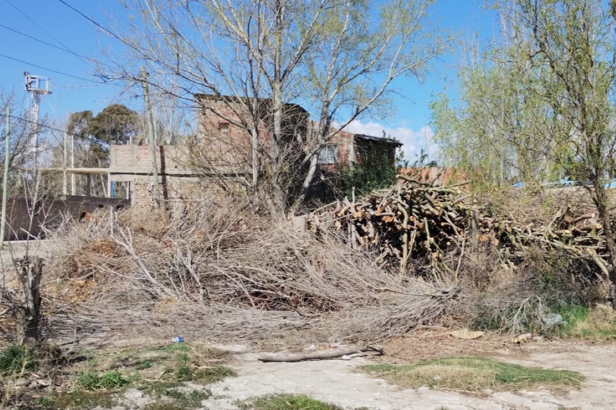 Vecinos de la Toma Limay reclaman reubicar a una leñera