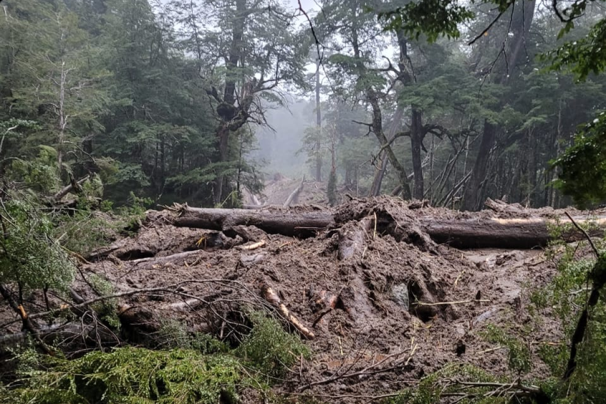 El Parque Nacional Lanín vivió su peor temporal en los últimos 20 años