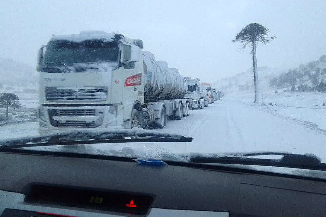 Más de 300 camiones varados esperan cruzar a Pino Hachado