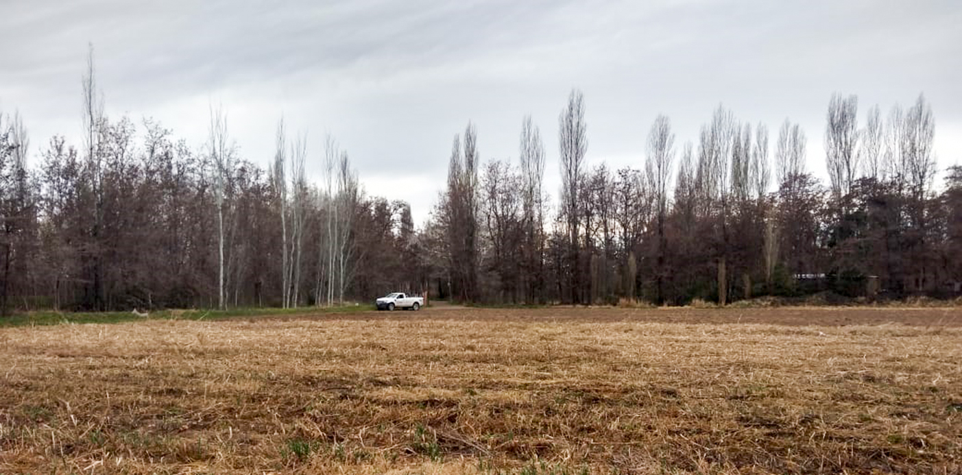 Sequía: extienden la emergencia agropecuaria en Río Negro, Santa Fe y La Pampa