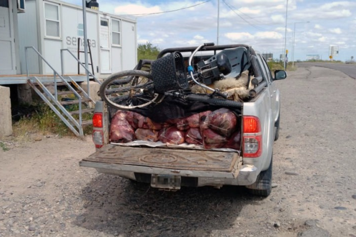 Lo atraparon con 450 kilos de carne escondidos en la camioneta