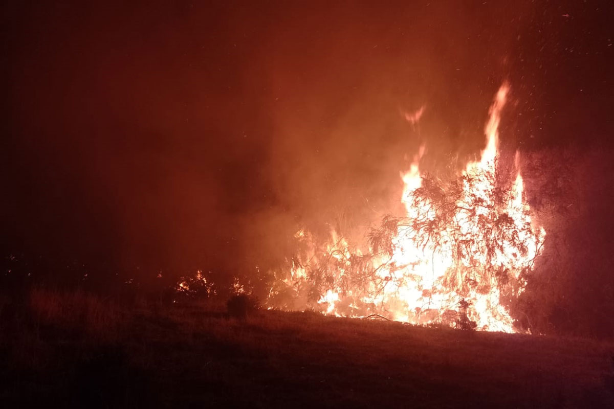 Incendio y una adolescente muerta en Buta Ranquil: investigan las causas