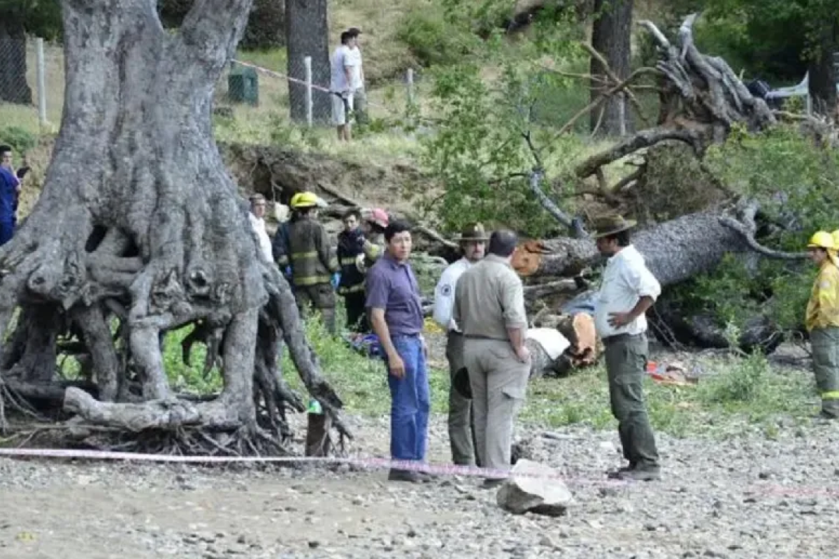 Tragedia de Lolem: este jueves se conoce la sentencia