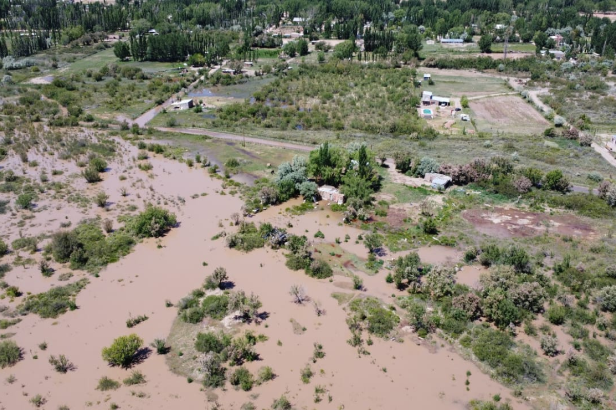 Rincón inundado por la crecida del Río Colorado