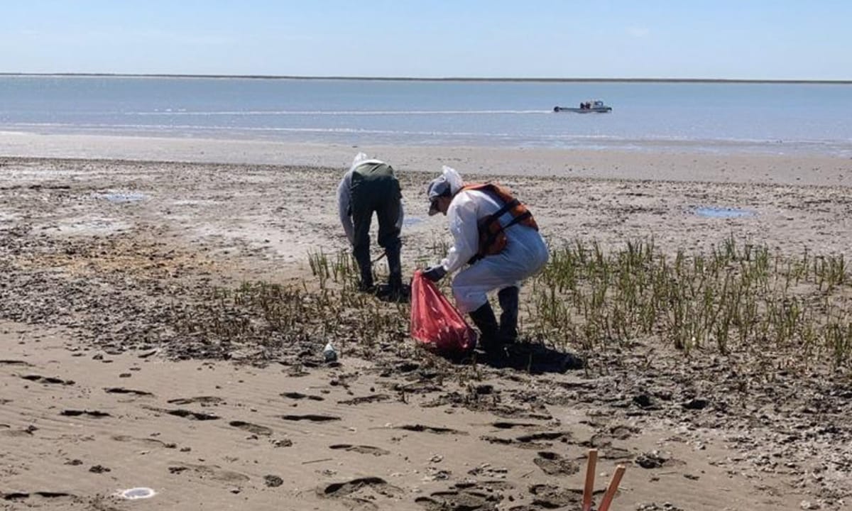 Qué se sabe sobre el derrame de Petróleo en Bahía Blanca