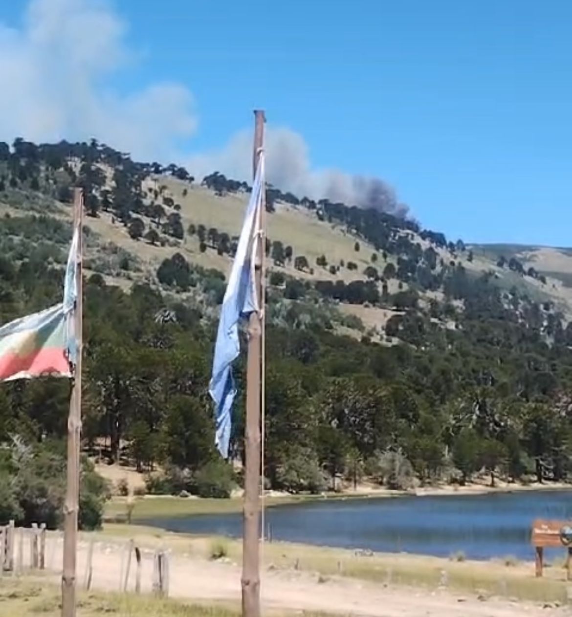 Video: el fuego consumió una hectárea en el Cerro Rucachoroi