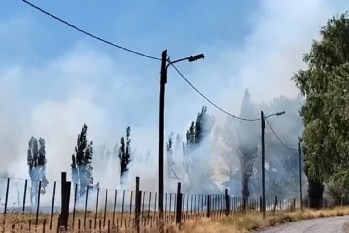 Voraz incendio de pastizales en el este de Neuquén