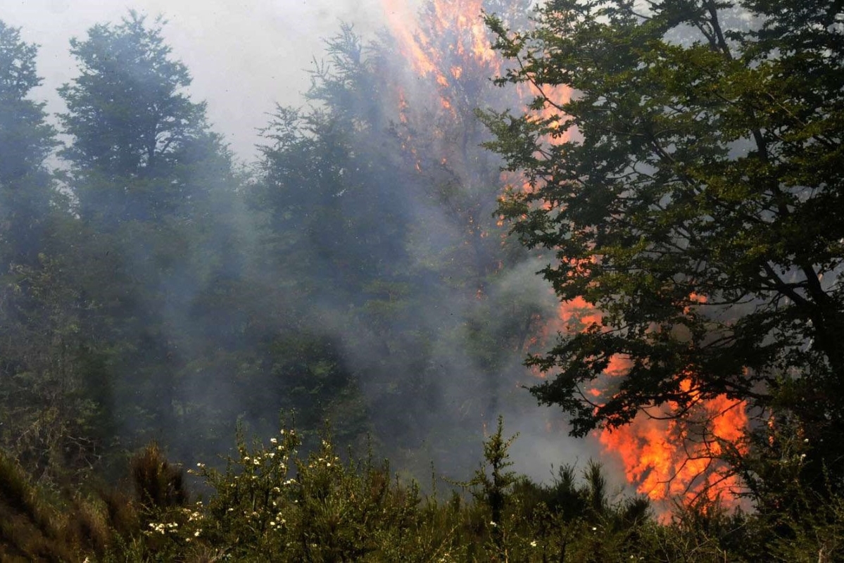 Figueroa acordó la continuidad de brigadistas del Parque Lanín