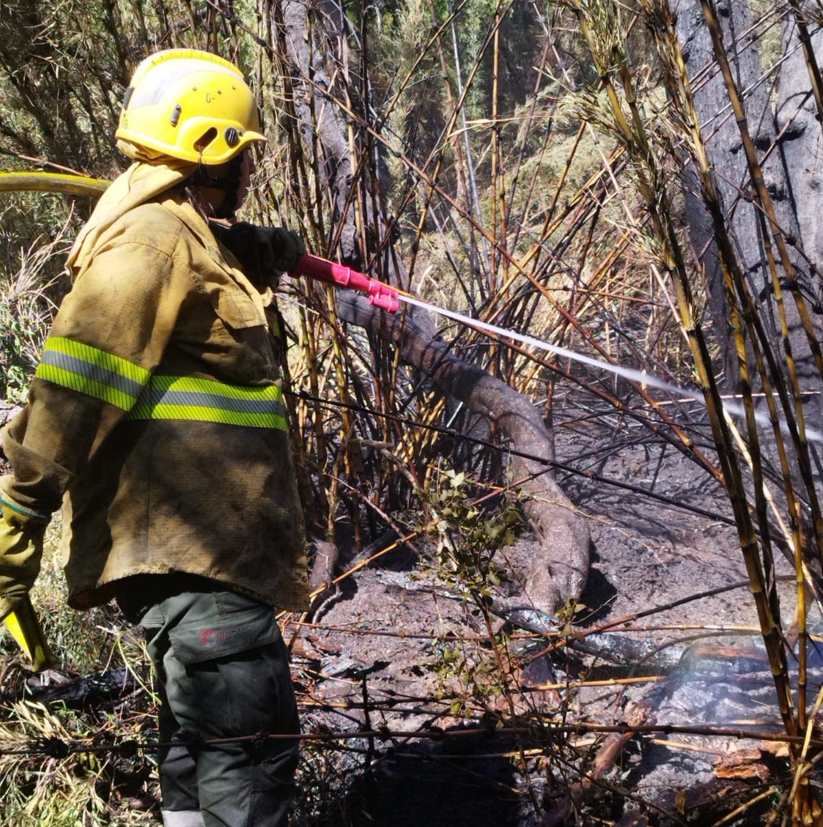 El incendio de Lago Hermoso está controlado