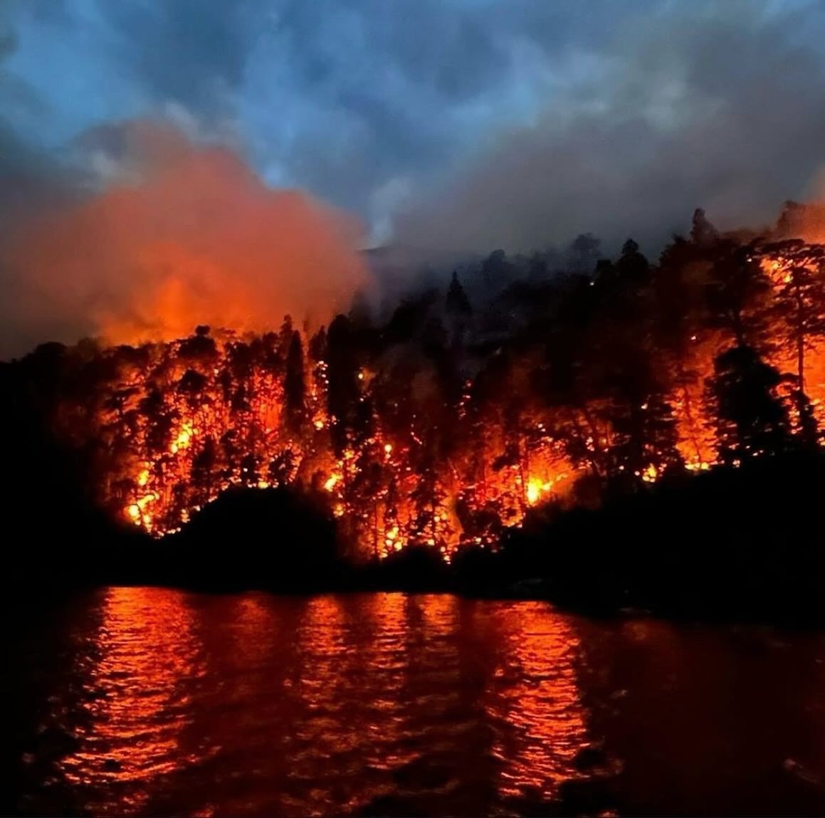 Fuegos irresponsables, Patagonia que arde