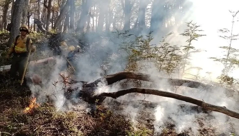 Por un año se declara la emergencia ígnea en Neuquén