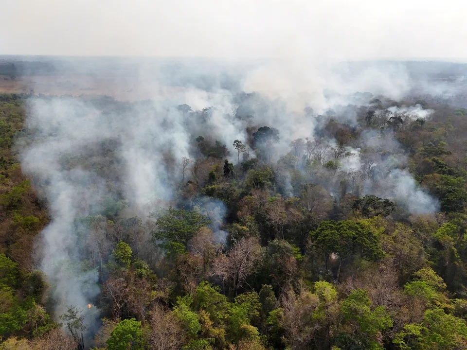 Voraces incendios en el norte de la Amazonia logran un récord lamentable