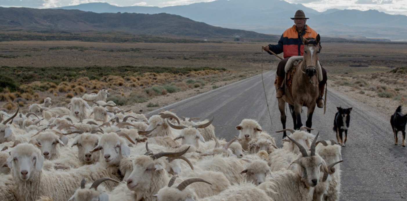 La provincia refuerza controles y acompañamiento en la bajada de veranada