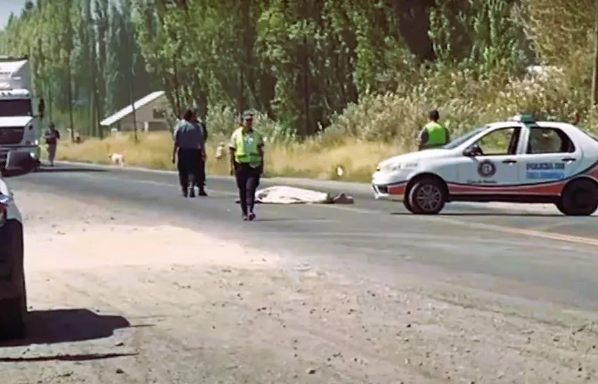 Un camión atropelló y mató a un hombre en la Ruta 22