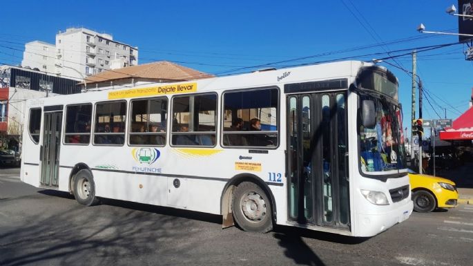 Colectivo a Senillosa: ¿Qué pasará con los choferes de KoKo?