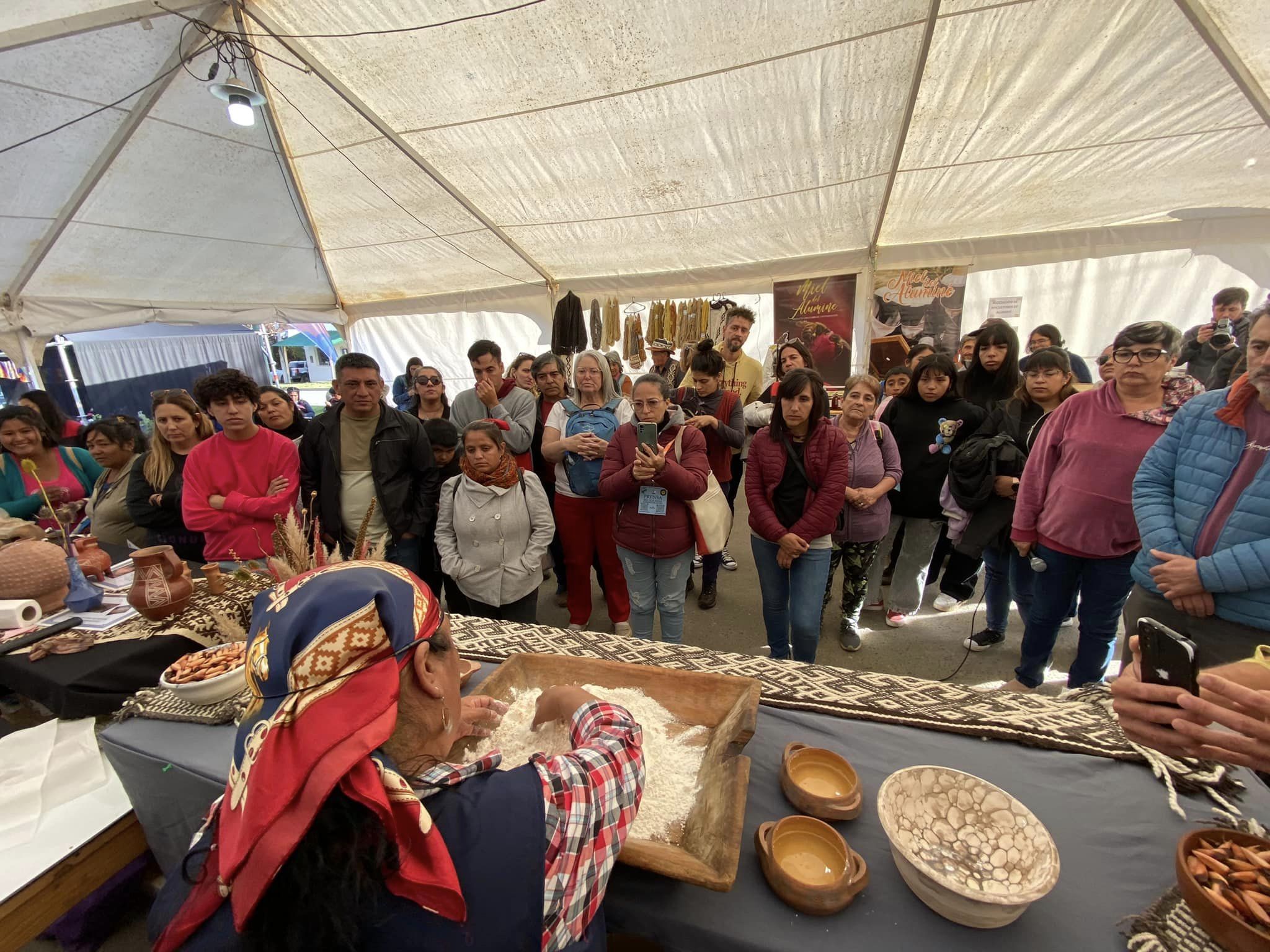 Gran celebración en Aluminé con la Fiesta Nacional del Pehuén