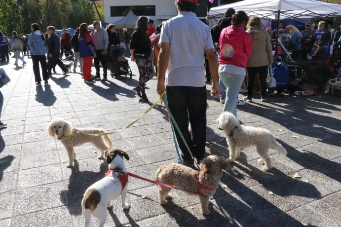 Con más de 1500 personas, la Feria Animalada fue un éxito