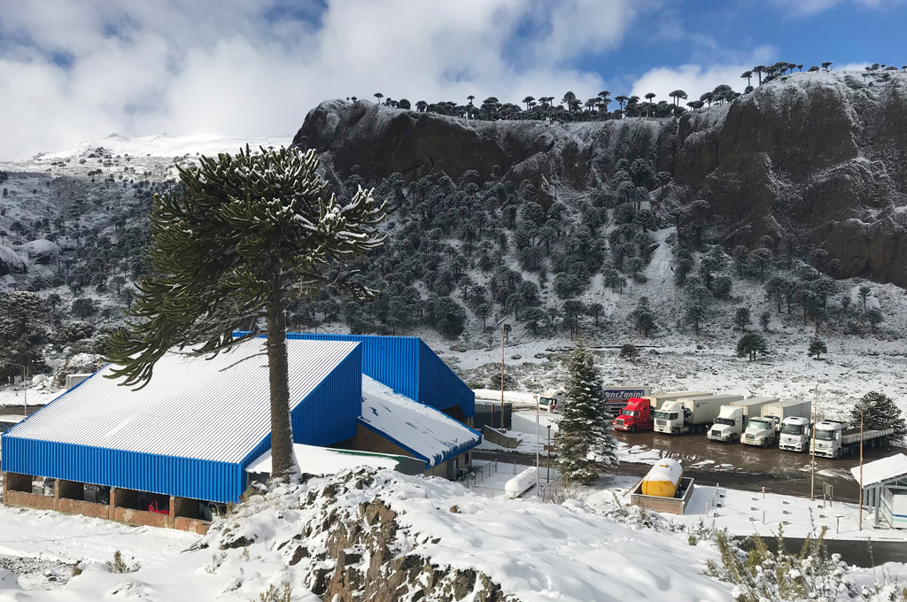 Frío extremo, la nieve como protagonista y Pino Hachado intransitable