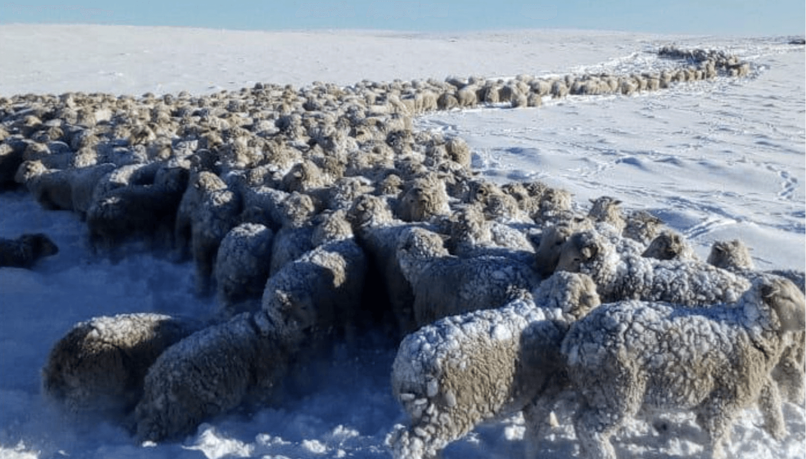 La Patagonia será la región más fría de América: las temperaturas llegarán a -15°C