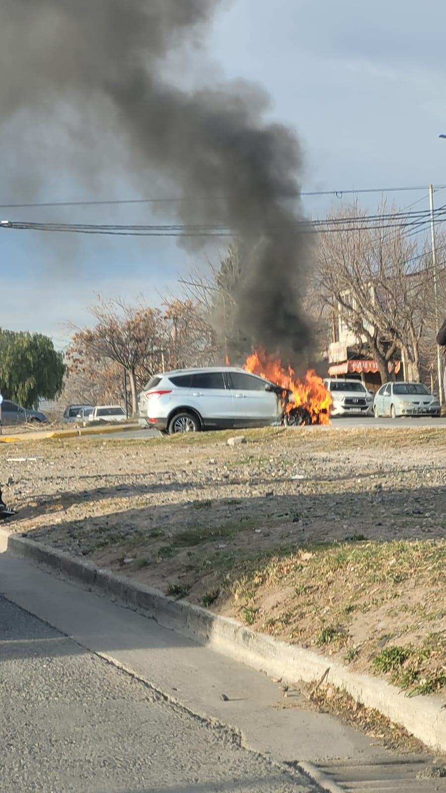 Ardió una camioneta en Ruta 7