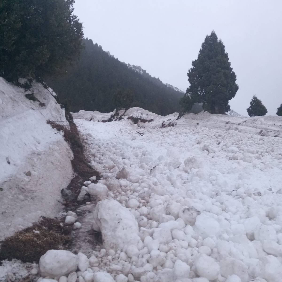 Alerta por avalanchas en Parque Nacional Lanín