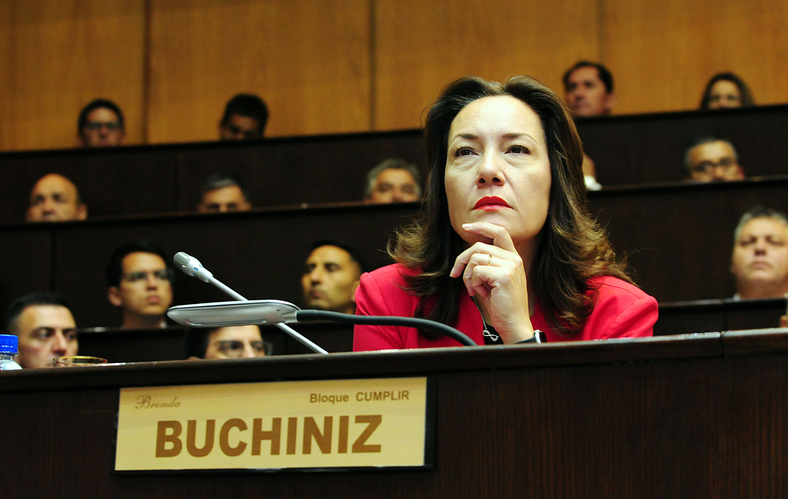 Quieren echar a la diputada Buchiniz de la Legislatura