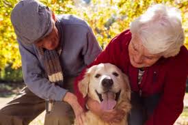 Quieren habilitar la tenencia de mascotas en Centros de adultos mayores