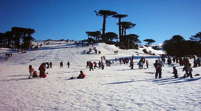 Apertura del Parque de Nieve Primeros Pinos: días, horarios y precios