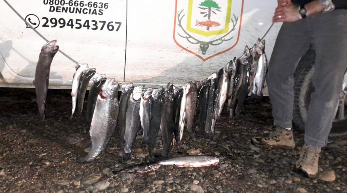 Detectaron pescadores sin permiso en Collón Curá