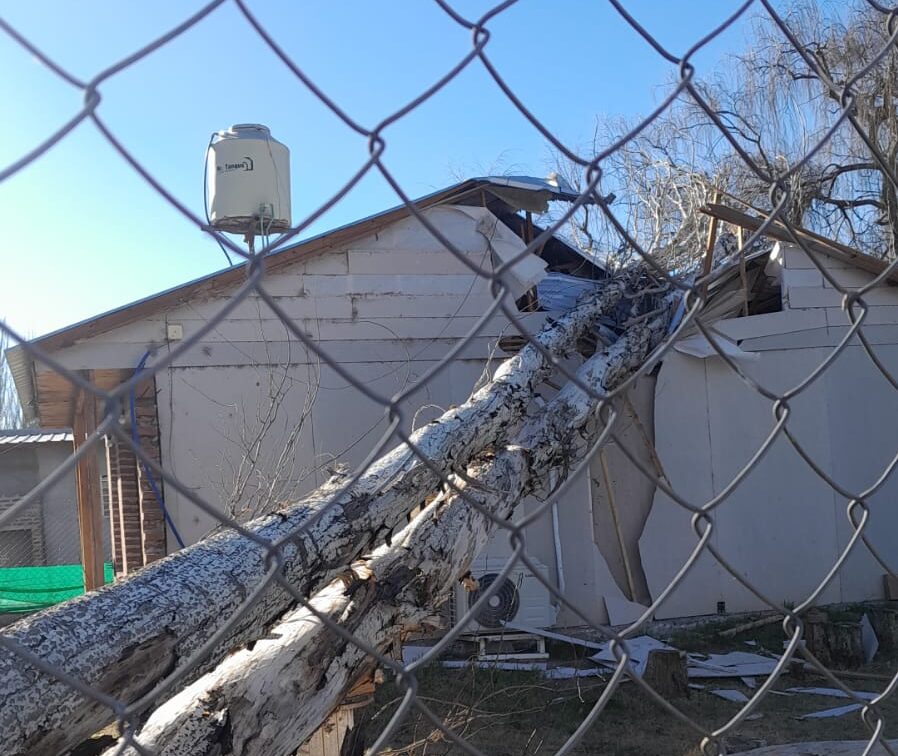 Temporal en Neuquén: un árbol partió el techo de una casa