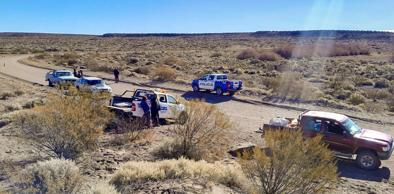 Fauna secuestró choiques y truchas a cazadores y pescadores furtivos