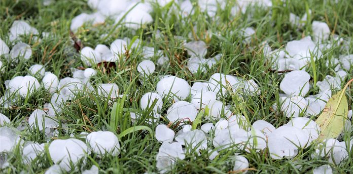 Más de 35 millones de pesos en resarcimiento por daños de granizo