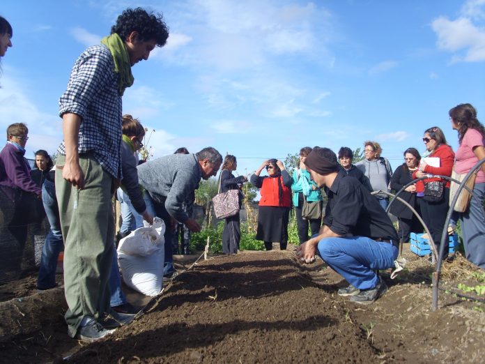 Jóvenes de secundario realizarán prácticas en las huertas de Neuquén