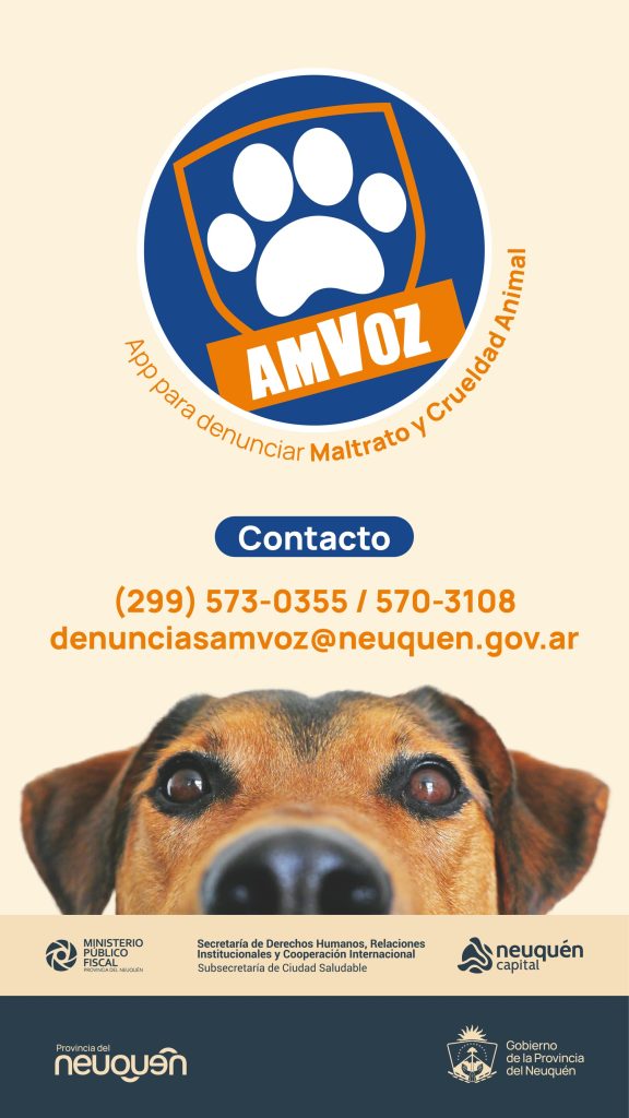 Vuelve a funcionar la aplicación AMVoz para denunciar maltrato animal