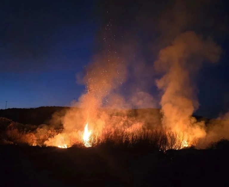 Incendio de pastizales alarma a vecinos y automovilistas