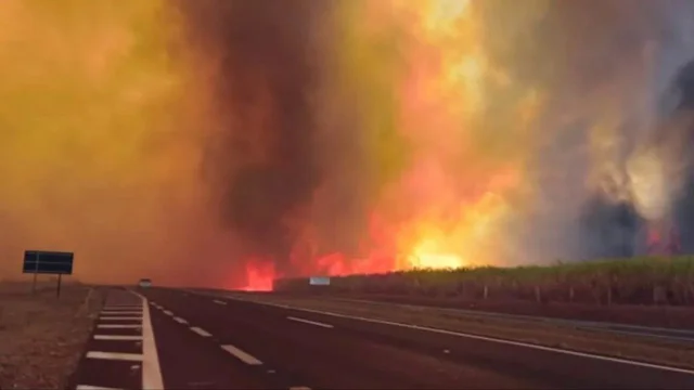 Lula denuncia que los incendios de pastizales en Sao Paulo son intencionales