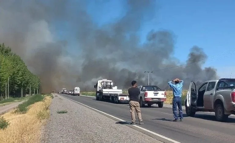 Incendio forestal obliga a cortar ruta en Añelo