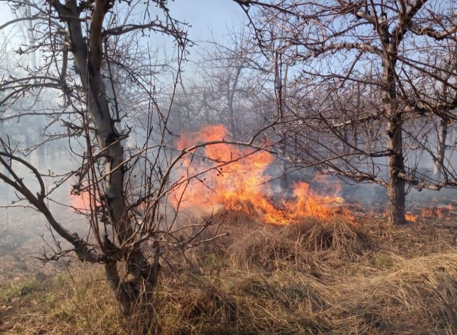 La Municipalidad endurece las medidas contra los responsables por los incendios