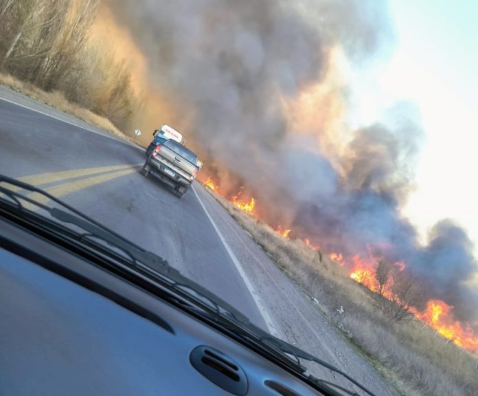 “El incendio tuvo cinco focos, lo que evidencia una clara intencionalidad”