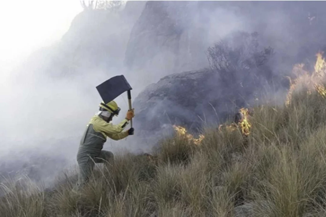 Los incendios en Bolivia se extendieron hacia La Paz, Beni y Santa Cruz