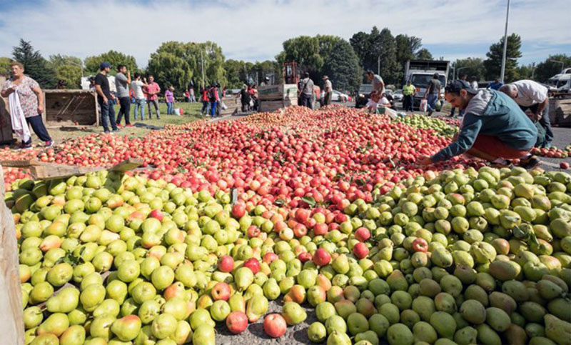 La agonía de la fruticultura: 400 mil kilos de fruta quedarán en los árboles por el costo de la energía